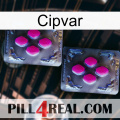 Cipvar 01